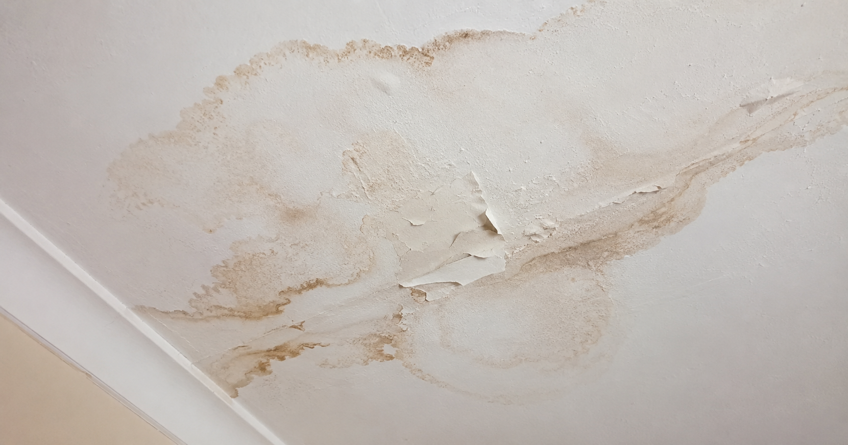 Water stain spreading across a ceiling — a common sign of a hidden burst pipe