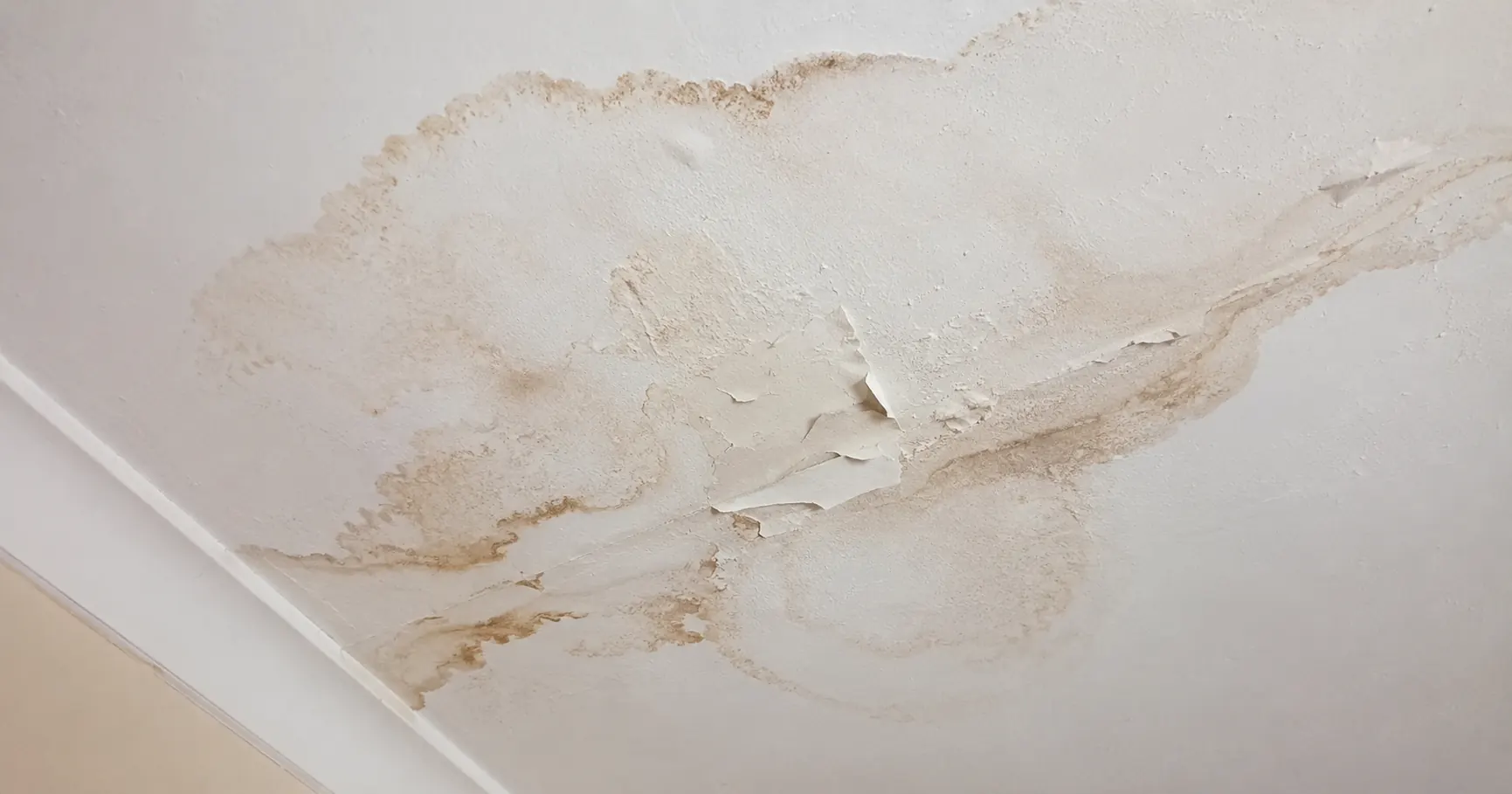Water stain spreading across a ceiling, a common sign of a hidden burst pipe